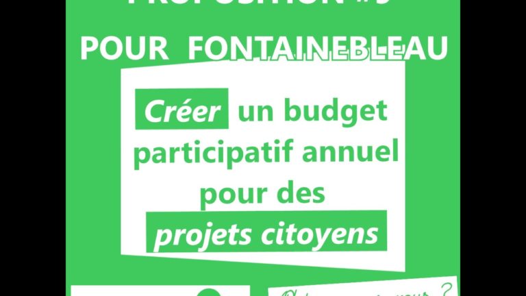 Proposition #9 : Créer un budget participatif annuel pour financer des projets citoyens